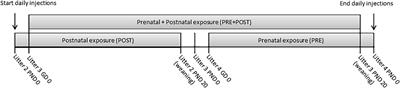 Developmental Fluoxetine Exposure Alters Behavior and Neuropeptide Receptors in the Prairie Vole